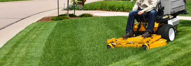 Why Invest in Professional Garden Maintenance Services in Dubai?